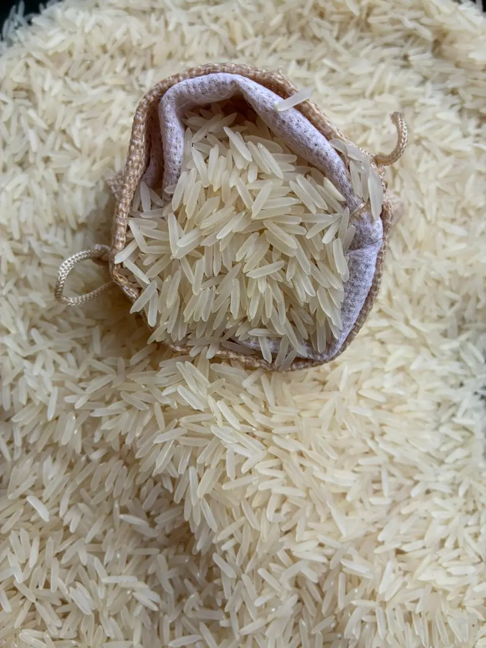 1121 Sella Basmati Rice grains close up