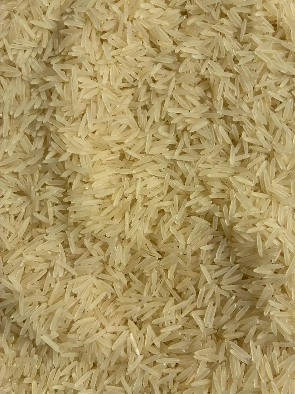 1401 Sella Rice