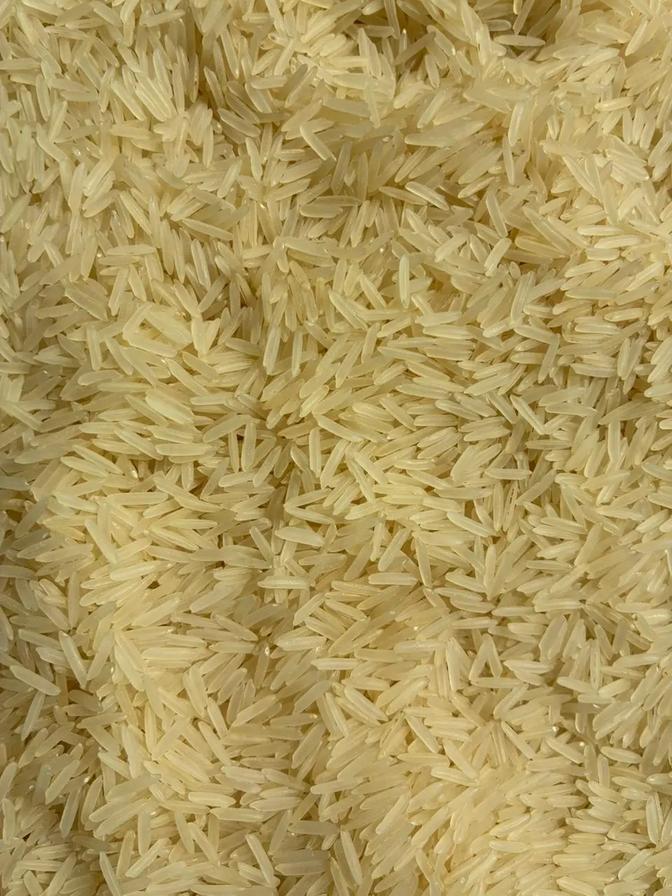 1121 Golden Sella Rice