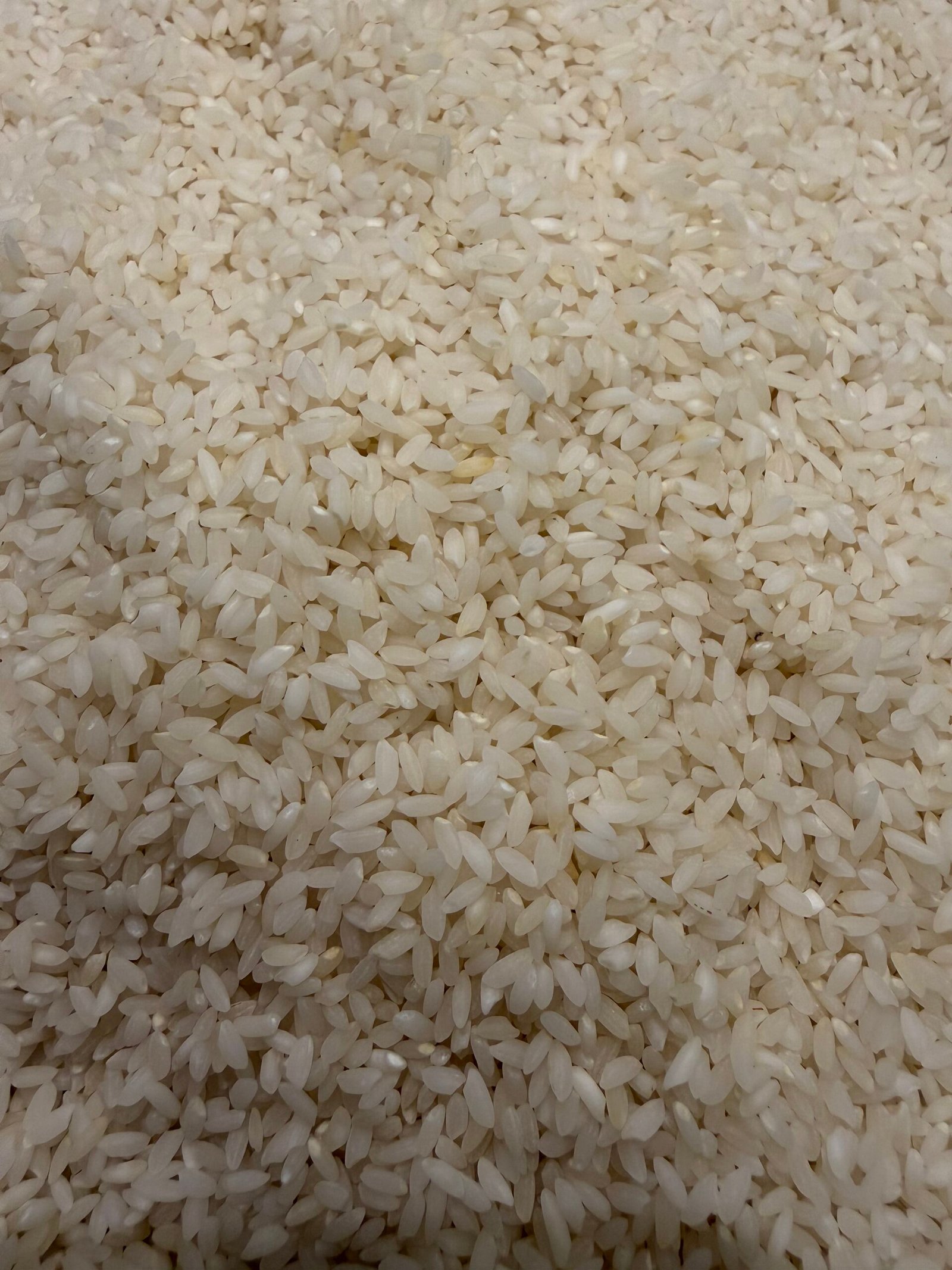 100% Broken Rice