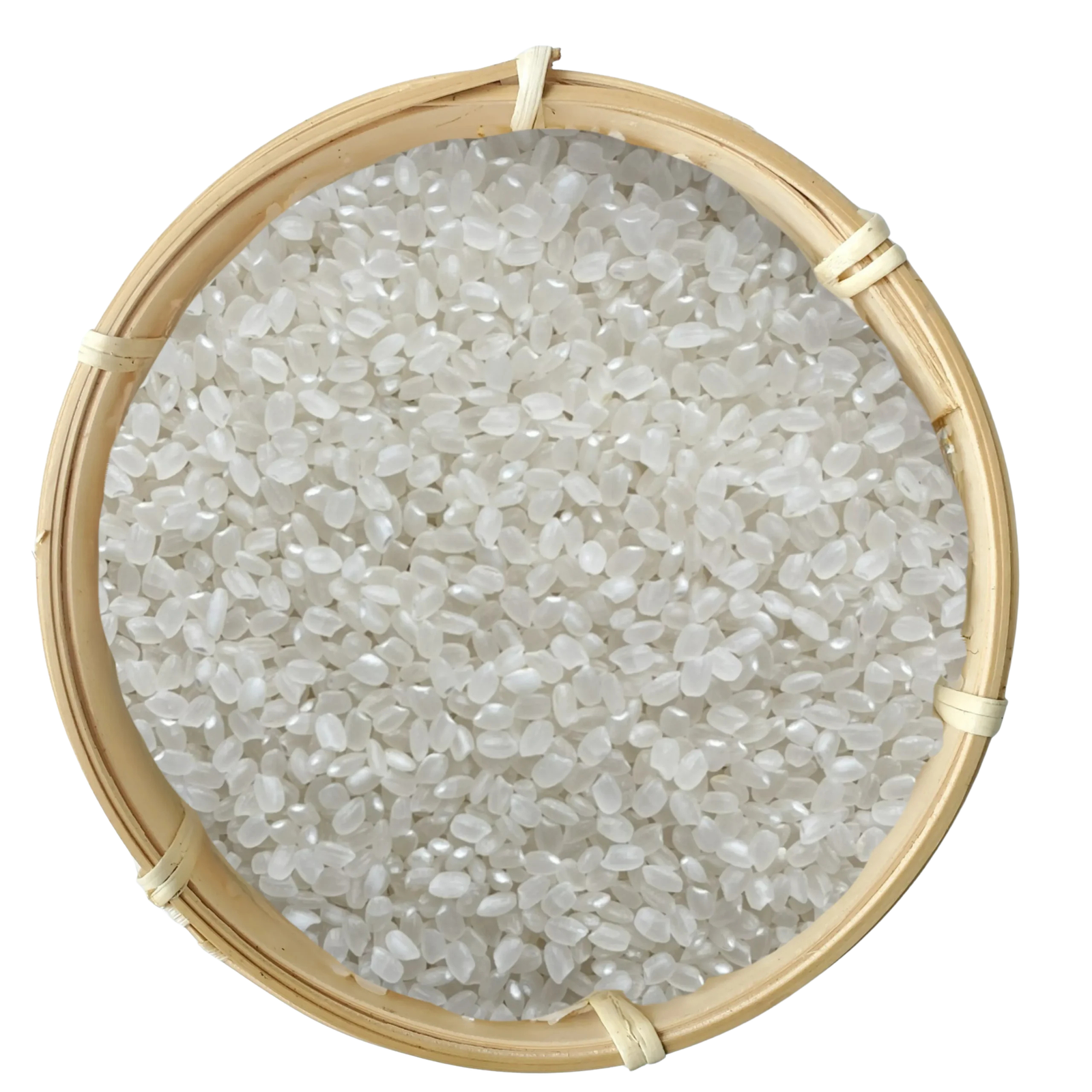 Japonica Rice